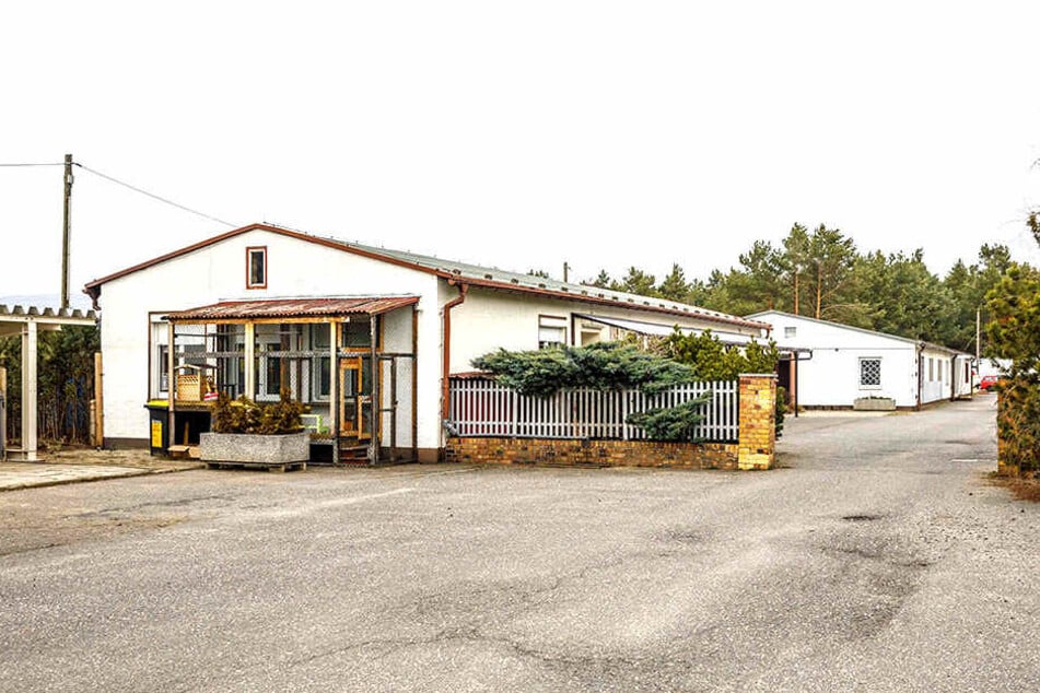 Das Tierheim Katzenhilfe Hoyerswerda Miezen.