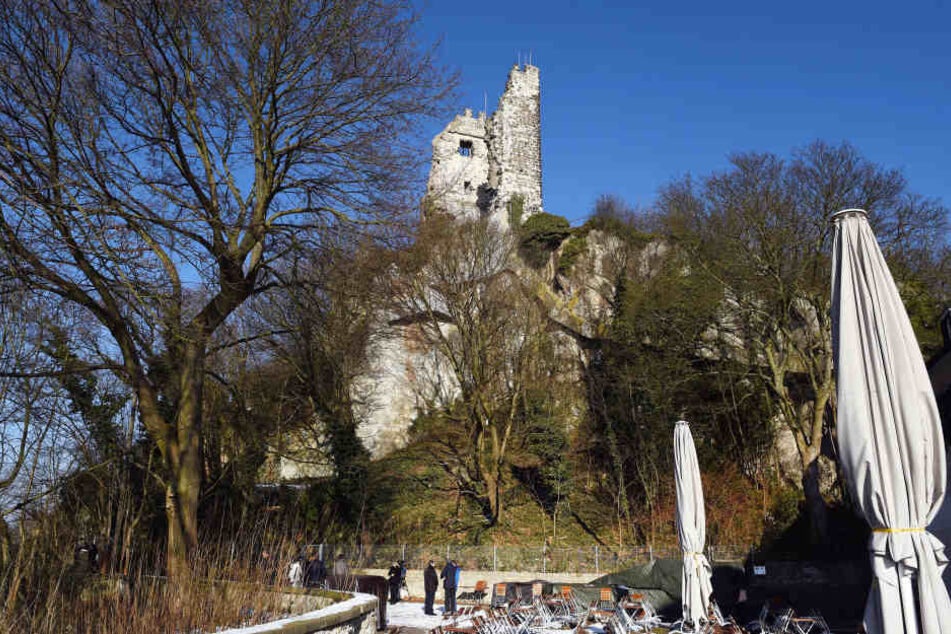 Der Eselsweg zum Drachenfels muss länger gesperrt bleiben. Das Plateau kann aber weiter besucht werden.