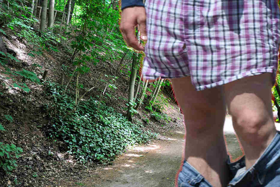Der Mann stand mit heruntergelassener Hose an einem Gebüsch im Park. (Symbolbild)