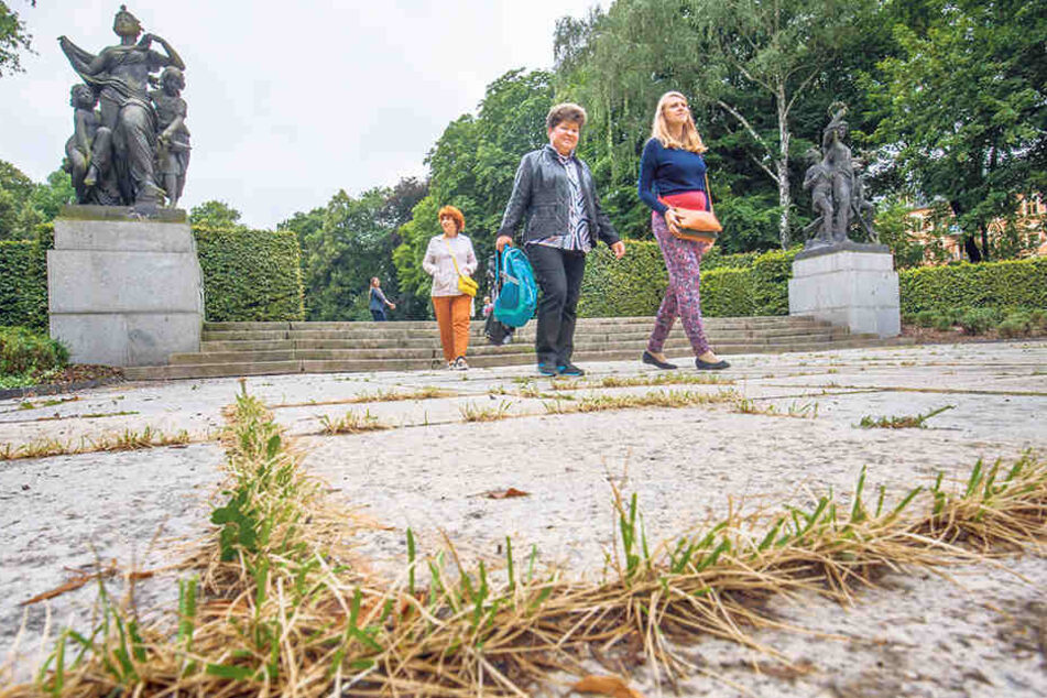 Unkraut und kaputte Treppen bei den
Schillingschen Figuren
fallen auch den Touristen auf.