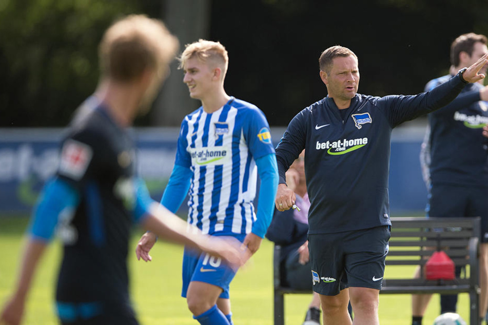Jeder bekommt die gleiche Behandlung von Trainer Dardai. Sonderrollen oder -wünsche gibt es nicht.