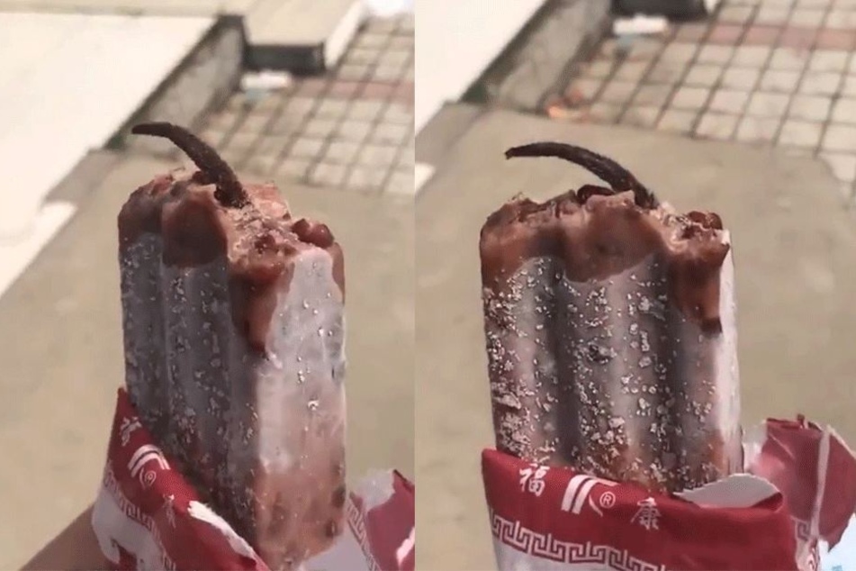 Was aus diesem Eis ragt, soll ein Rattenschwanz sein.