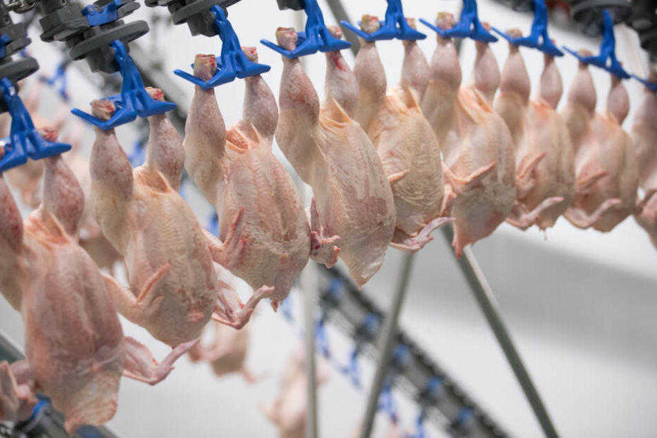 Geflügelfleisch wird in den Produktionshallen von Wiesenhof verarbeitet.