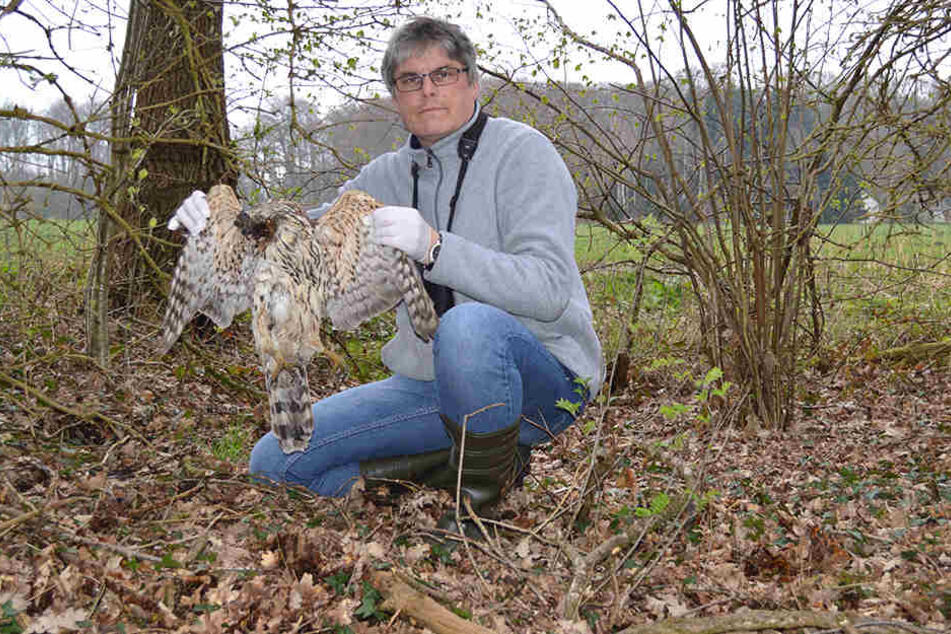Der Nabu-Kreisvorsitzende Ludger Frye posiert mit einem toten Vogel.
