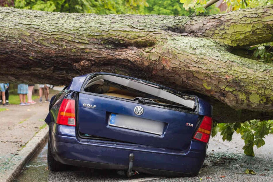 In Hamburg stürzte ein Baum auf ein parkendes Auto. Verletzt wurde dabei niemand.