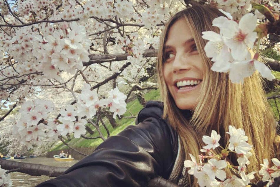 Die Follower stellten sich nur eine Frage: Wo steckt Heidi Klum (44).