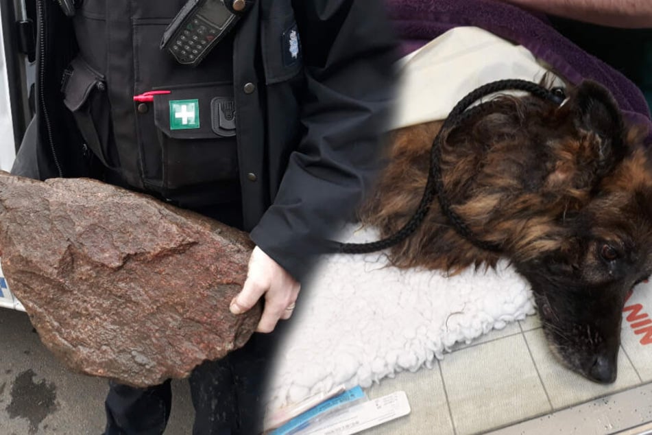 20 etwas mann aus 50 etwas frau