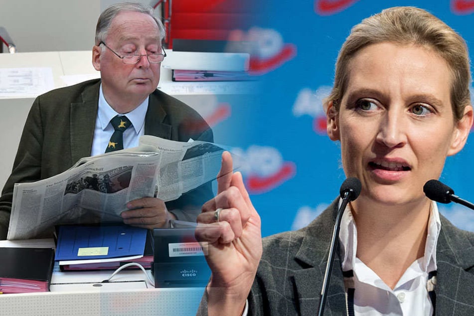 Die AfD-Bundestagsfraktion will ab April einen eigenen Newsroom starten. Grund sind unter anderem "Fake News" der Medien.