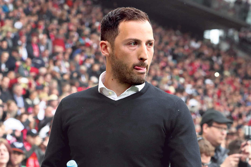 Die Flaschen sind noch voll: Aues Trainer Domenico Tedesco ist fest davon überzeugt, dass er
mit seiner Mannschaft den Klassenerhalt schafft.