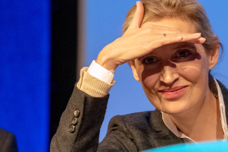 Infolge der AfD-Spendenaffäre: Fraktionschefin Alice Weidel tritt in Ravensburg zum Bürgerdialog an.
