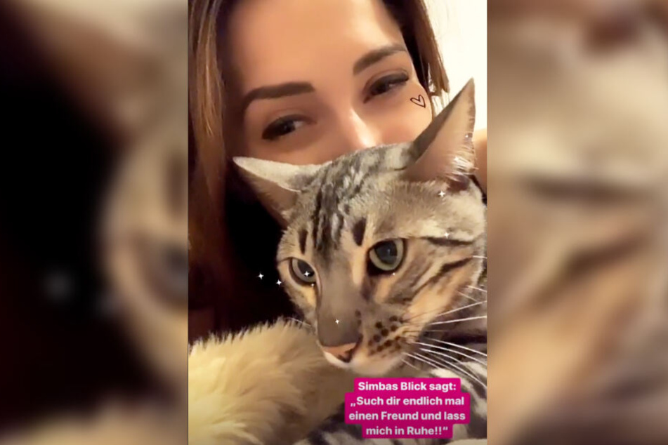 Anastasiya Avilova legte ihrer Katze einen an sich selbst adressierten Ratschlag in den Mund.