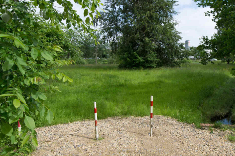 In diesem Parkstück soll der Hund angeblich den Säugling angegriffen haben.