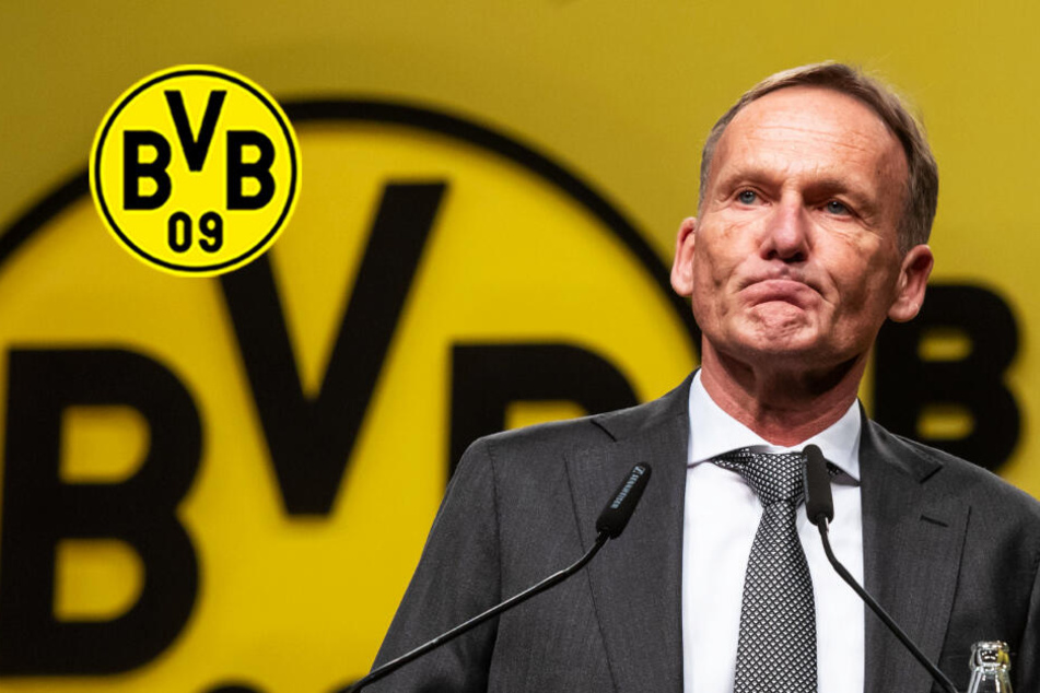 Favre Raus Favre Raus