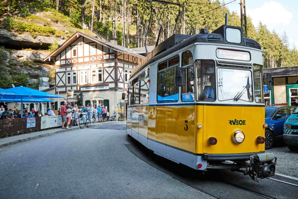 Ein echter Touristenliebling der Sächsischen Schweiz: Die Kirnitzschtalbahn könnte schon bald über die Elbe pendeln.