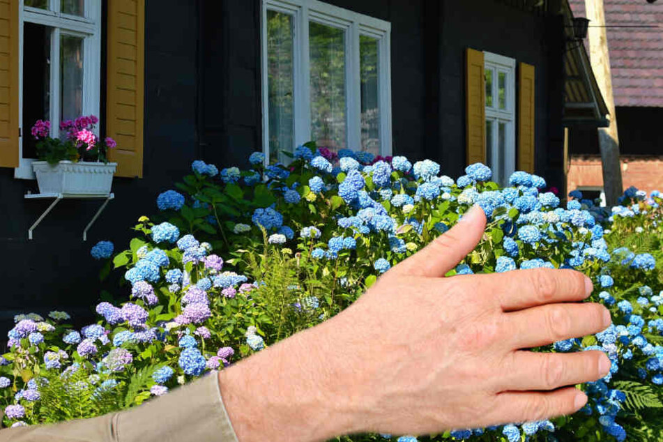 Eine junge Arnsteinerin wurde in ihrem eigenen Garten sexuell belästigt (Symbolbild).