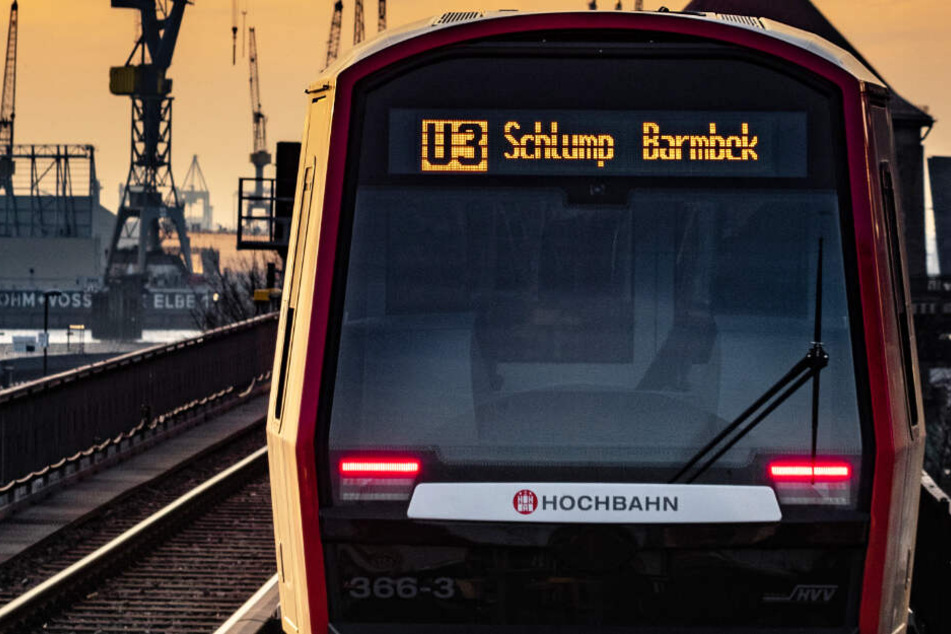 Malerisches Panorama und oft fotografiert: Eine U3 fährt an der Hamburger Hafen-Kulisse vorbei.