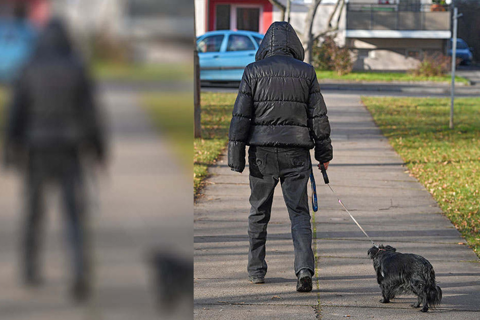 Auf der abendlichen Gassi-Runde wurde der Hund seines 57-jährigen Besitzers überfahren und starb später beim Tierarzt (Symbolbild).