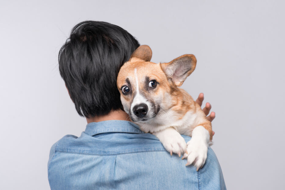 Nicht Dein Hund? Dann sollte er auch nicht als "Frauen-Köder" dienen!