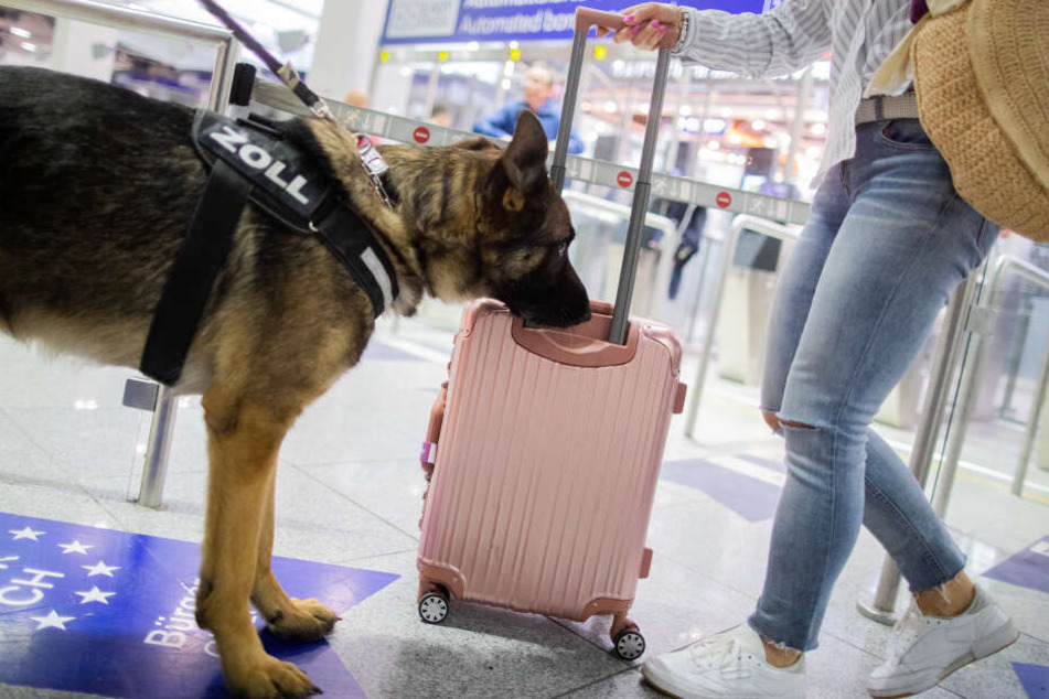 Kann Bargeld riechen: "Luke" ist auf Euro, Dollar und britische Pfund spezialisiert.