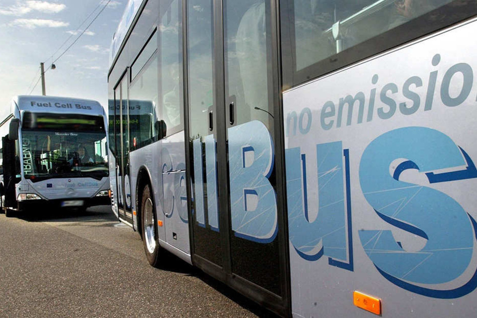 Beim Einsteigen in den Bus geriet der 32-jährige mit der Fahrerin (56) aneinander.