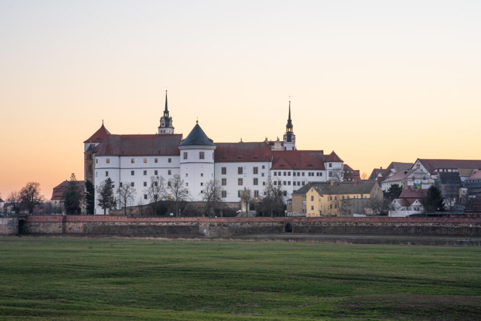 Im Schatten von Schloss Hartenfels: Hier sind die Torgauer Bären zu Hause.