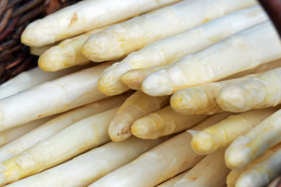 Zu Ostern wird es in Deutschland kein Beelitzer Spargel geben.