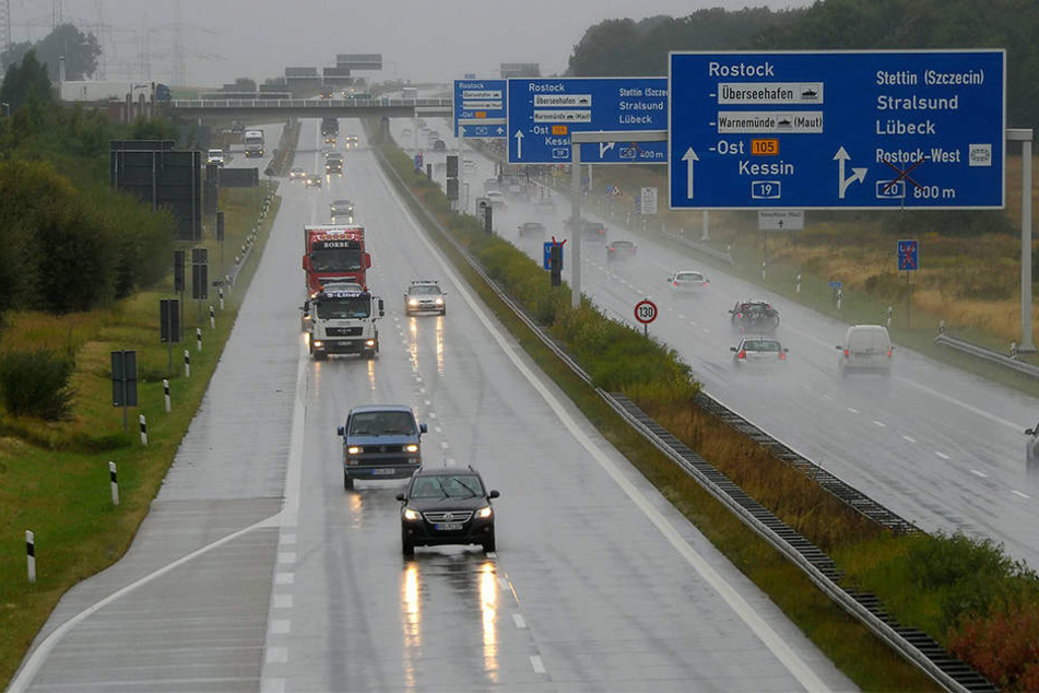Auf der A19 wurden am Freitagmorgen drei Ponys getötet.