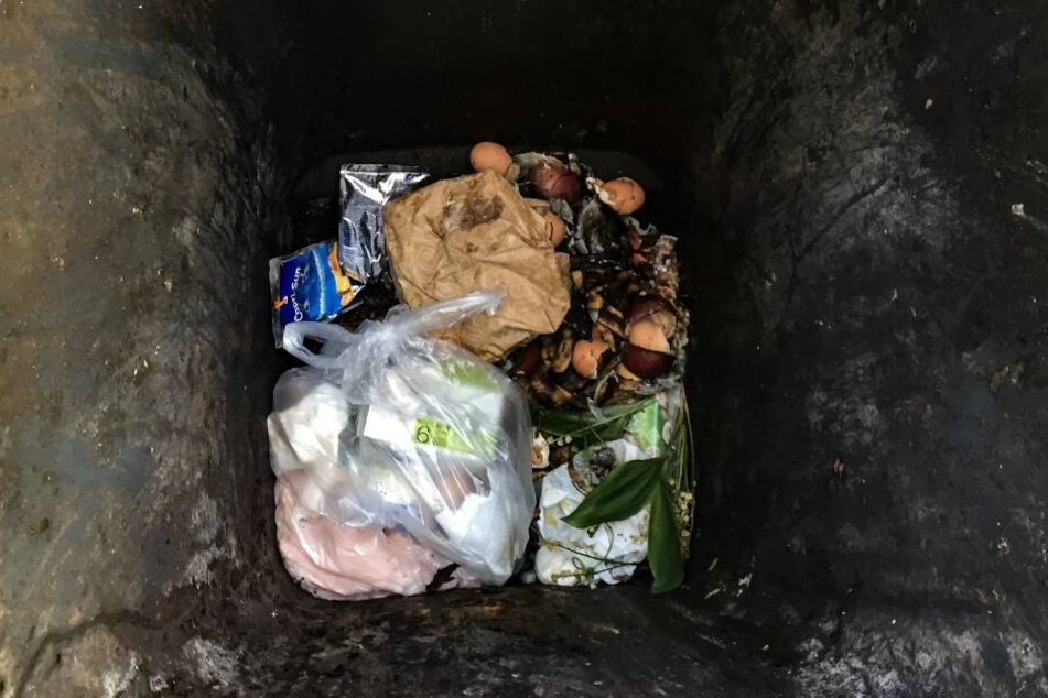 Gewohntes Bild in deutschen Bio-Mülltonnen: Die Plastiktüte wird einfach mit hinein geworfen.