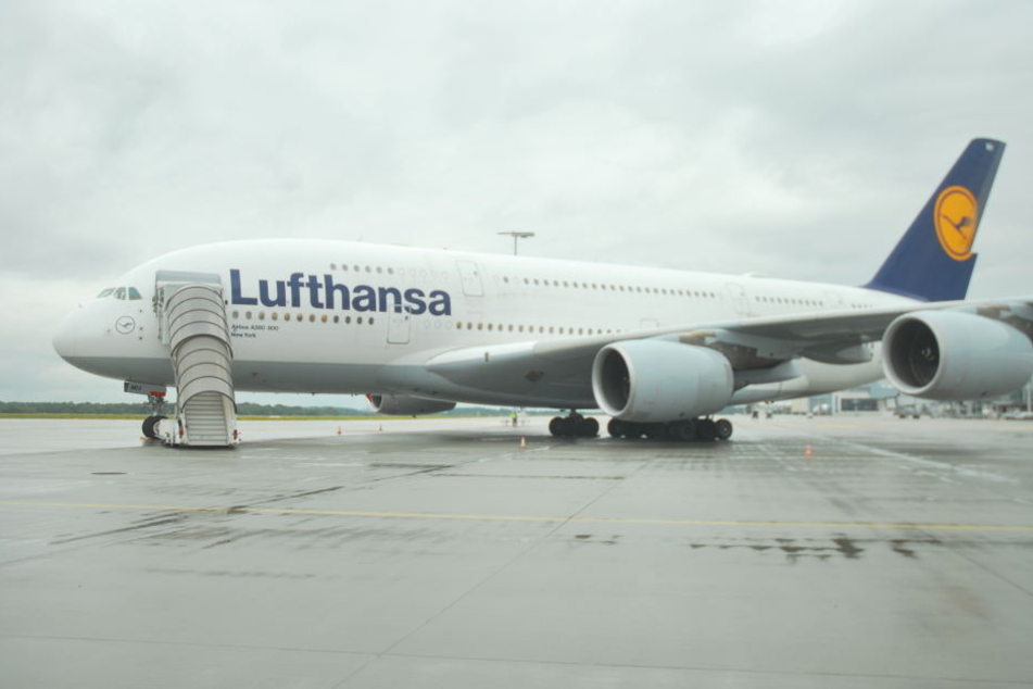 Einer der Lufthansa-Airbusse A380 wird jetzt in Dresden auseinandergenommen und durchgecheckt!