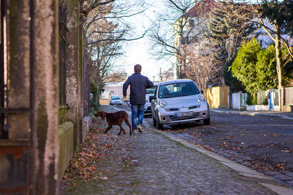 Belangt werden kann nur, wer auf "frischer Tat" ertappt wird. Dann allerdings wird es teuer für die Hundehalter.