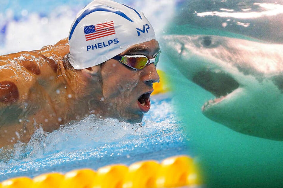 Der Mensch ist ihm als Gegner offenbar nicht mehr genug: Schwimm-Superstar Michael Phelps.