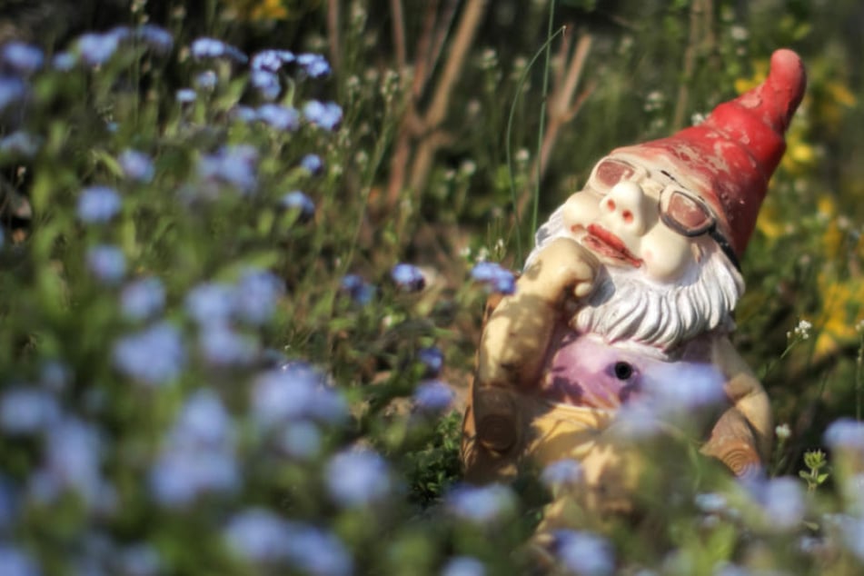 Die Berliner lieben ihre Schrebergärten und ihre Gartenzwerge.