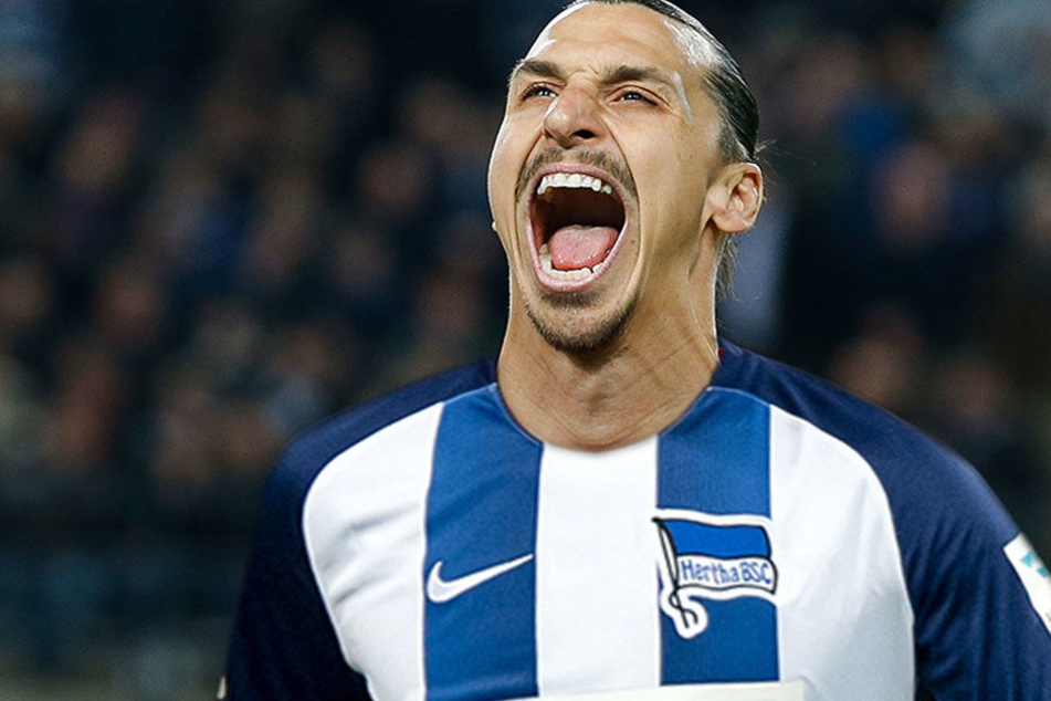 Torjubel bald bei der Hertha? Für ManU traf der Schwede in 46 Pflichtspielen, 28 mal. (Bildmontage)