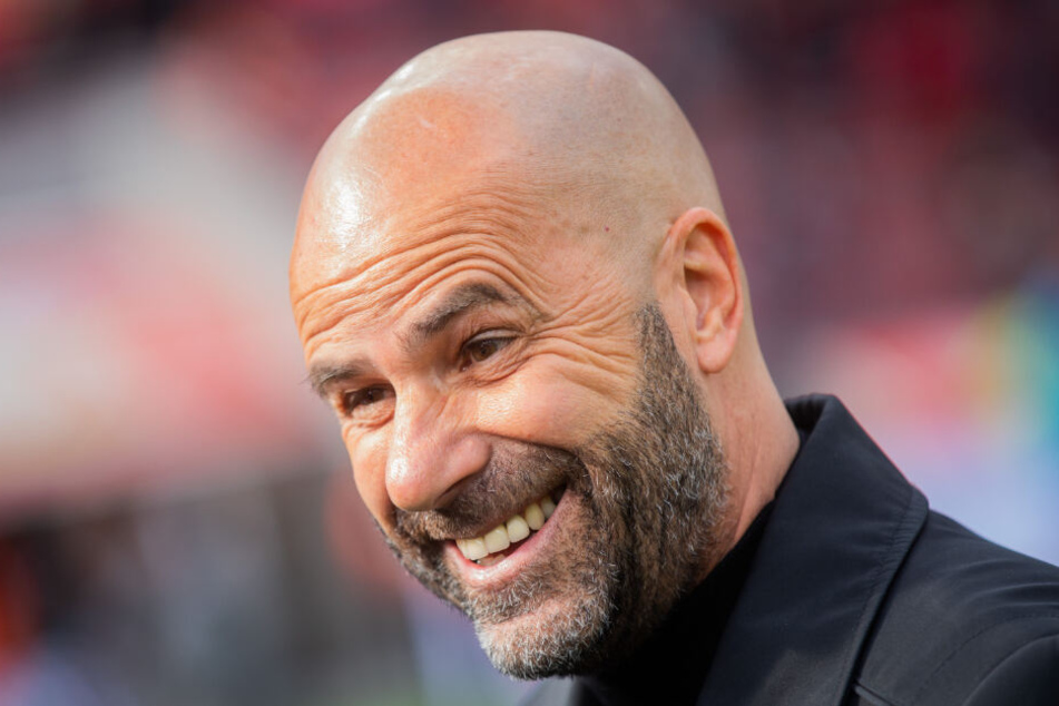 Kerem Demirbay könnte gut in das System von Bayer 04 Leverkusens Trainer Peter Bosz (Foto) passen.