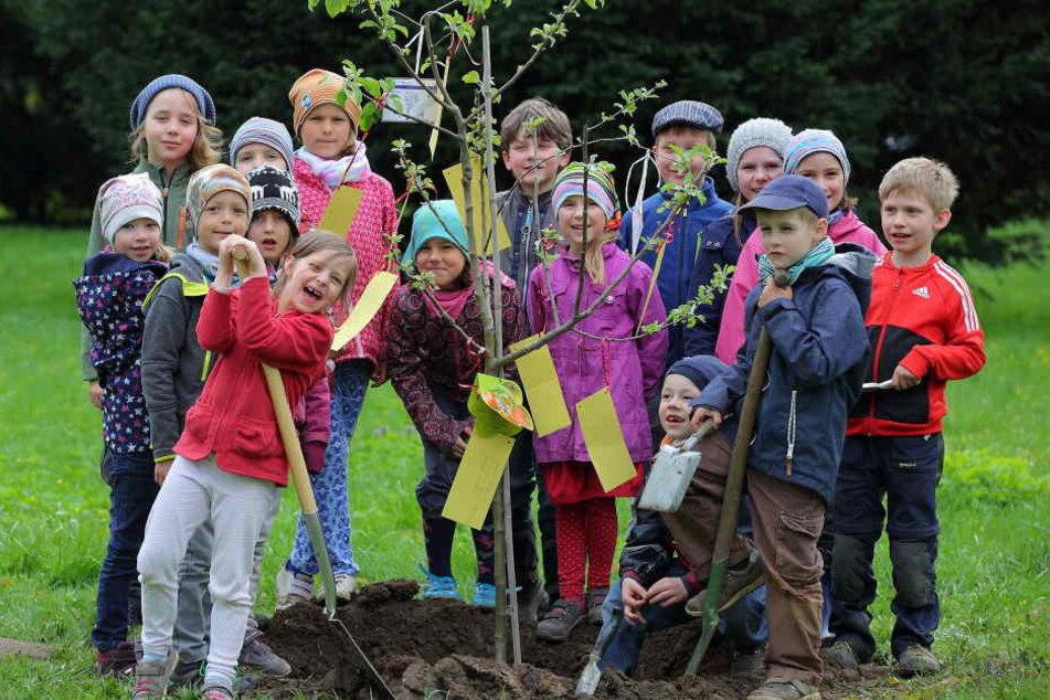 Diese Knirpse der Christenlehre pflanzten am Mittwoch den „Baum der guten
Wünsche“ auf dem Neuen Annenfriedhof.