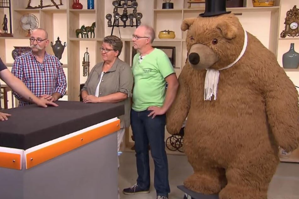 Ein gewaltig großer Bär steht bei Bares für Rares zum Verkauf.