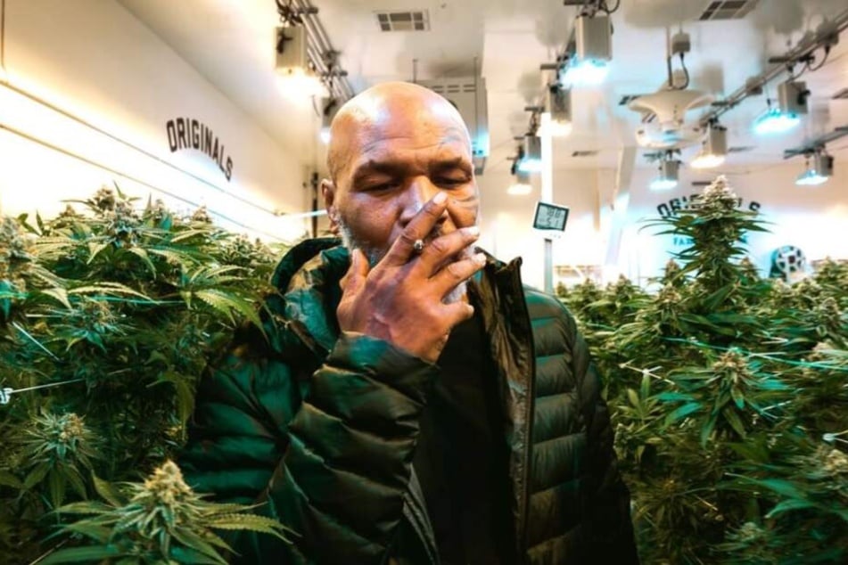 Für Ex-Boxer Mike Tyson ist das Kiffen ein "Lifestyle."