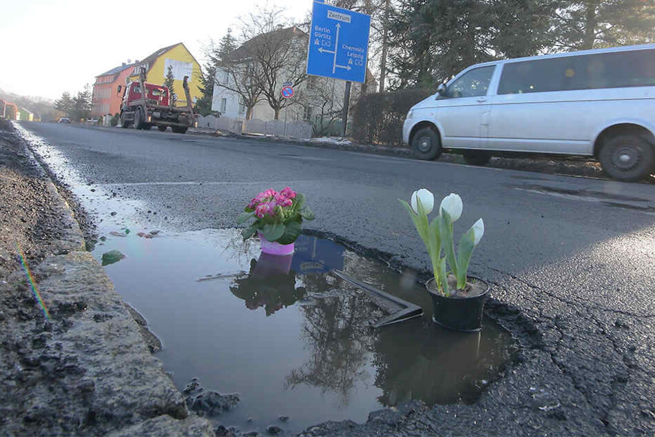 Unbekannte bepflanzten die Schlaglöcher der Radeburger Straße mit Blumen.