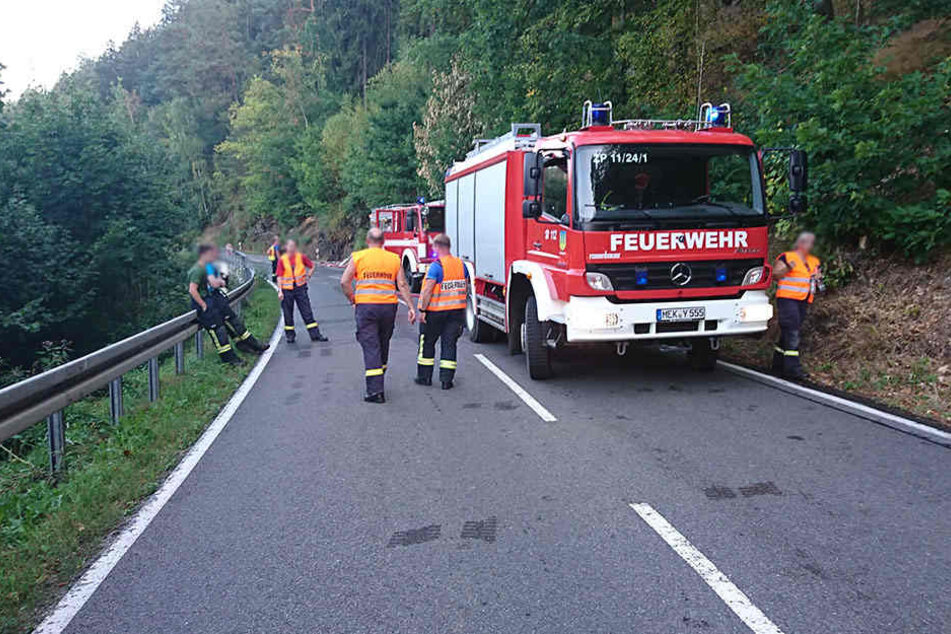 Das zweite Mal innerhalb eines Tages musste die Feuerwehr zu einem Flächenbrand ausrücken.