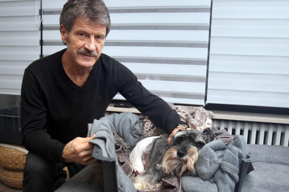 Das Auto raste auf den Hunde-Besitzer und seinen Zwergschnauzer zu.