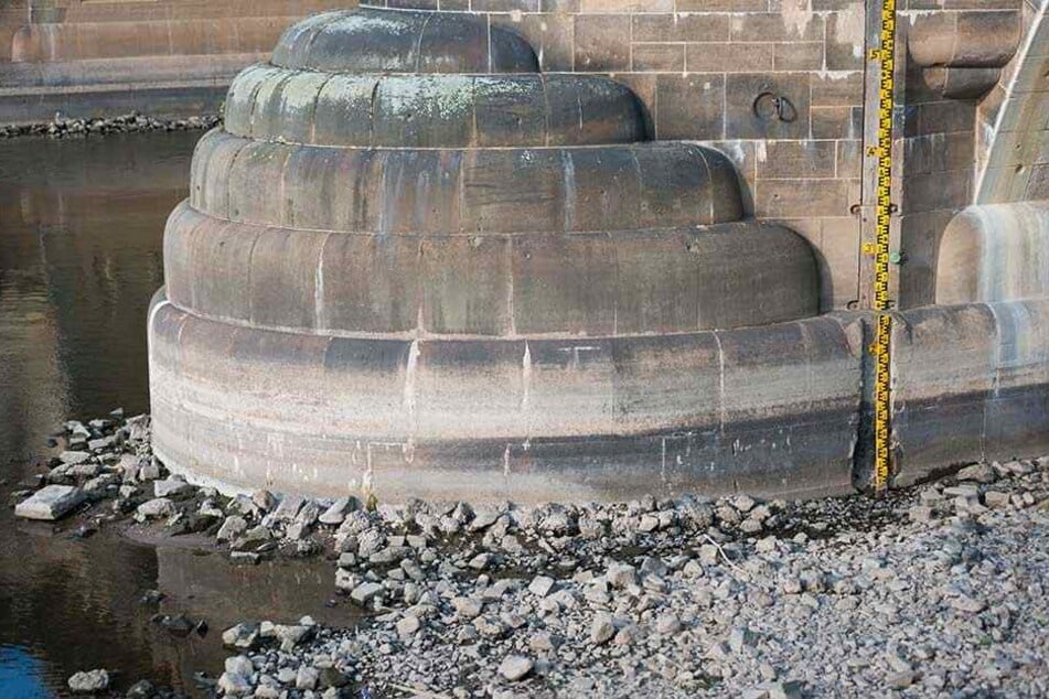 Wo die Messlatte an der Augustbrücke beginnt, ist längst kein Wasser mehr.