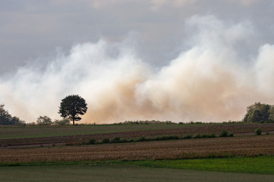 Der Brand zog über die benachbarten Felder hinweg.