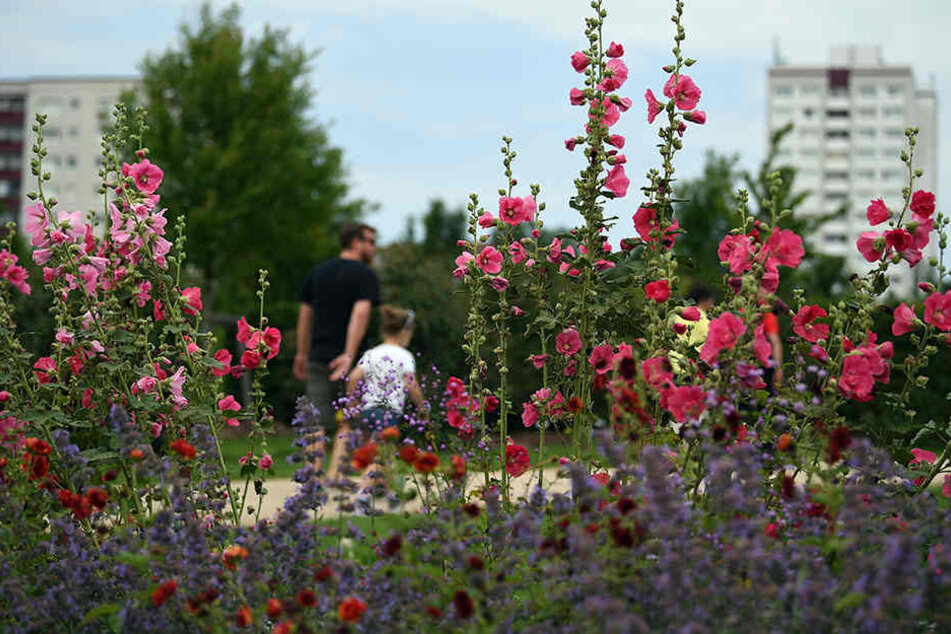 Die internationale Gartenausstellung befindet sich zwischen den Hochhäusern in Berlin-Marzahn.