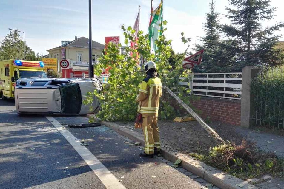 Der Baum wurde bei dem Unfall komplett entwurzelt.