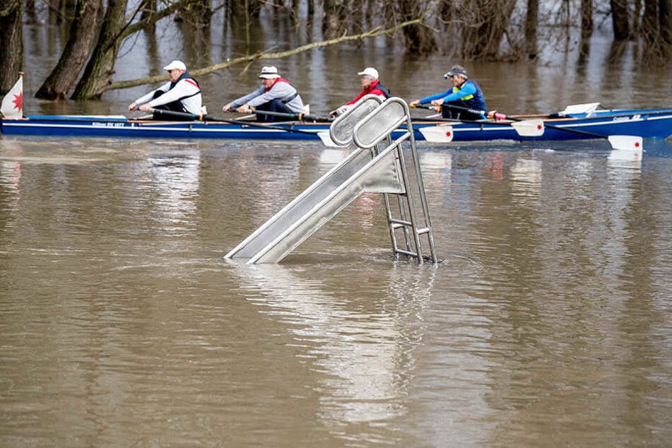Das Rhein-Hochwasser sorgt für ungewöhnliche Ausflüge.