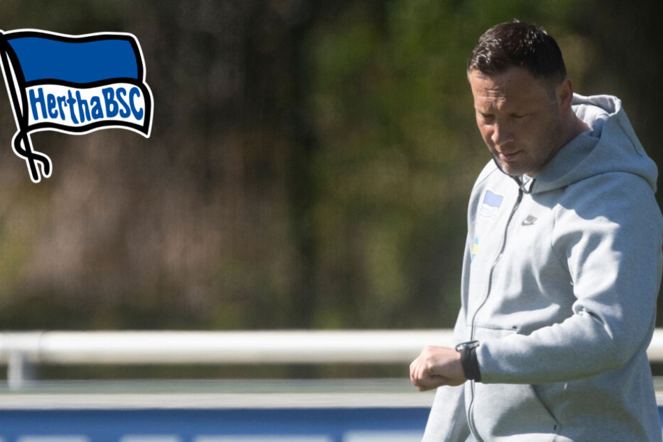 Pal Dardai wird ab Sommer 2019 nicht mehr Trainer der Profimannschaft von Hertha sein.
