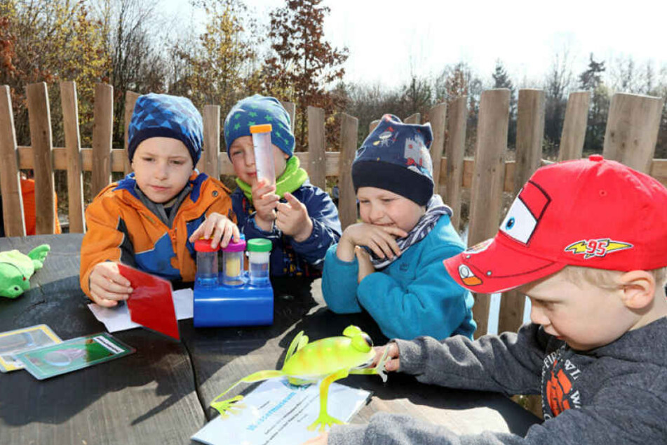 Die Kinder können experimentieren und ihre Wasserproben untersuchen.