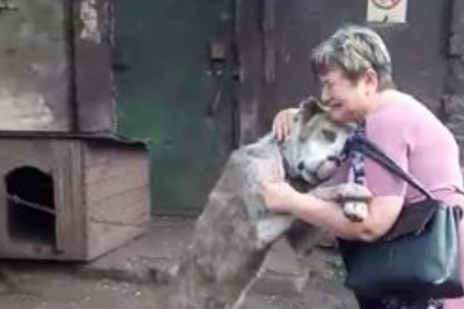 Das Wiedersehen zwischen Frauchen und Hund war tränenreich.