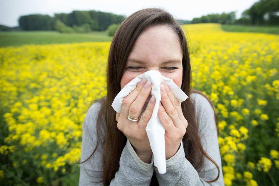 Hatschi! Allergiker trauen sich oft im Frühling und Sommer kaum aus dem Haus.
