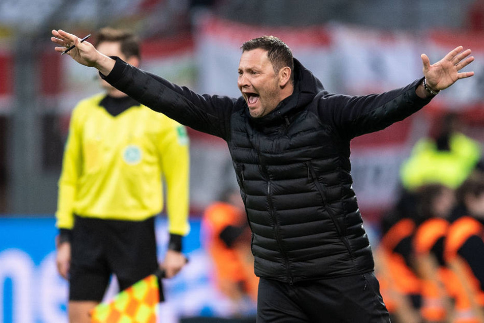 Trainer Pal Dardai wäre mit 24 Punkten in der Rückrunde zufrieden.
